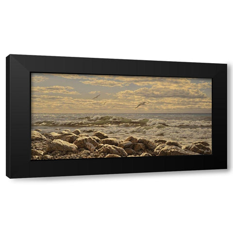 Sea and Stones I Black Modern Wood Framed Art Print by Adamov, Alexey