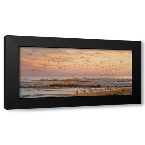 Seagulls  Black Modern Wood Framed Art Print with Double Matting by Adamov, Alexey