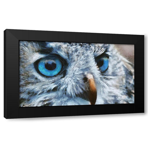 Owls Eyes I Black Modern Wood Framed Art Print with Double Matting by Medeiros, Celito