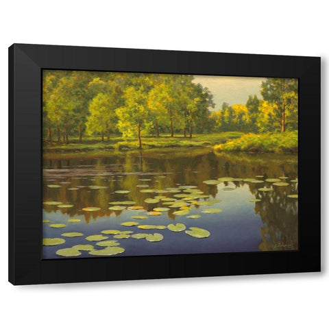 Water Lilies on the River II Black Modern Wood Framed Art Print with Double Matting by Adamov, Alexey