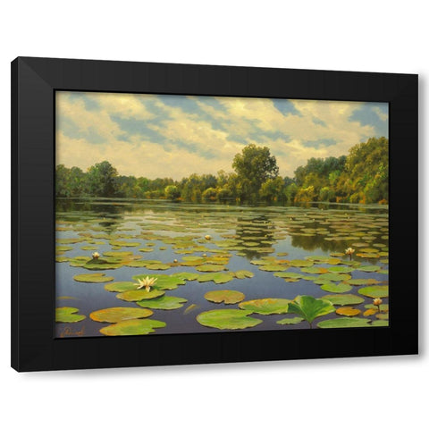 Water Lilies on the River IV Black Modern Wood Framed Art Print by Adamov, Alexey