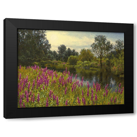 Lupins by the River Black Modern Wood Framed Art Print with Double Matting by Adamov, Alexey