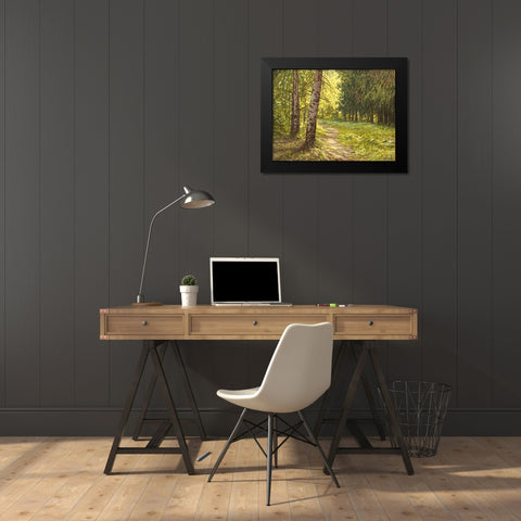 The Path to the Forest II Black Modern Wood Framed Art Print by Adamov, Alexey