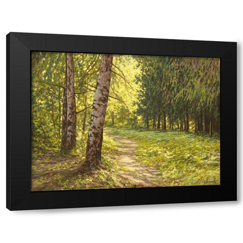 The Path to the Forest II Black Modern Wood Framed Art Print by Adamov, Alexey