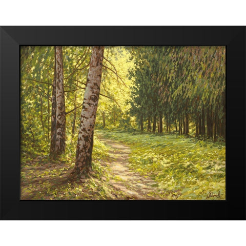 The Path to the Forest II Black Modern Wood Framed Art Print by Adamov, Alexey