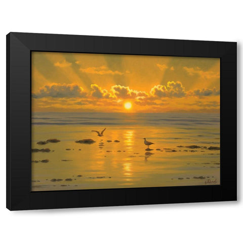 Sunset over the  Sea with Seagulls III Black Modern Wood Framed Art Print by Adamov, Alexey