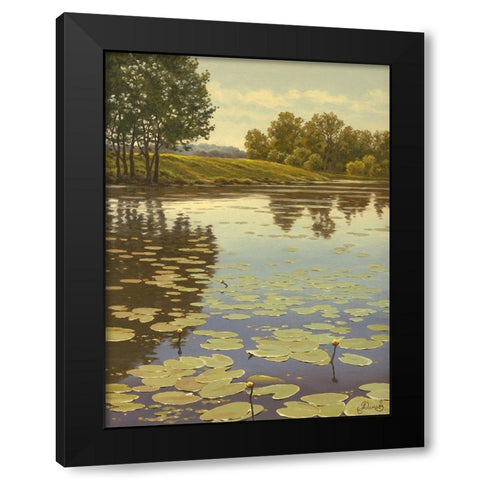 Water Lilies on the River V Black Modern Wood Framed Art Print by Adamov, Alexey