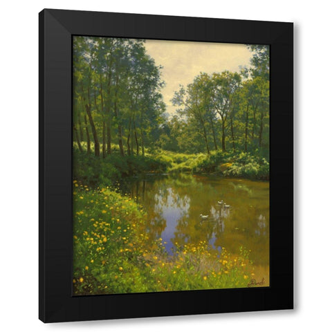 Small Ducks on the Pond Black Modern Wood Framed Art Print with Double Matting by Adamov, Alexey