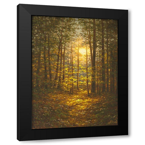 Sunbeams through the Forest Black Modern Wood Framed Art Print by Adamov, Alexey