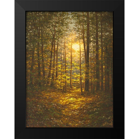 Sunbeams through the Forest Black Modern Wood Framed Art Print by Adamov, Alexey