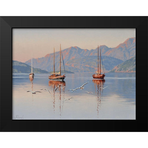 Yacht and Seagulls Black Modern Wood Framed Art Print by Adamov, Alexey