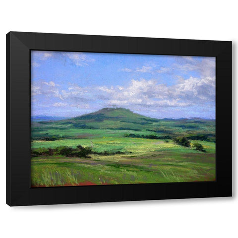 Early Summer Black Modern Wood Framed Art Print by Chaney, Alan
