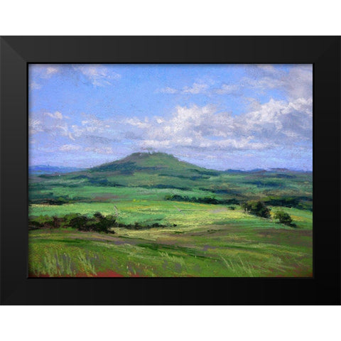 Early Summer Black Modern Wood Framed Art Print by Chaney, Alan