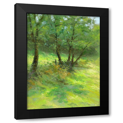 Hedgerow Trees Black Modern Wood Framed Art Print with Double Matting by Chaney, Alan