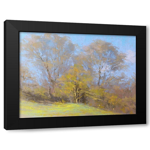 Sunny Autumn Day Black Modern Wood Framed Art Print by Chaney, Alan