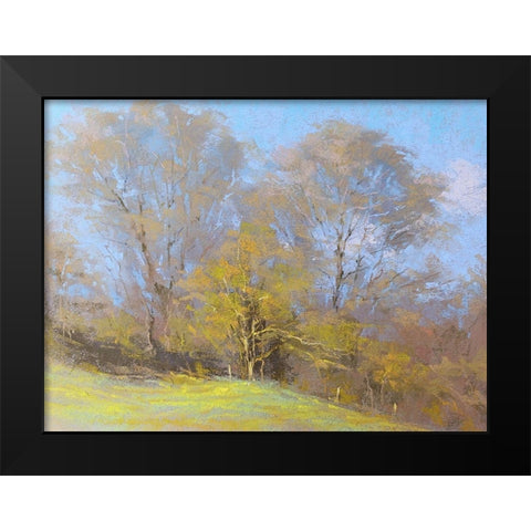 Sunny Autumn Day Black Modern Wood Framed Art Print by Chaney, Alan