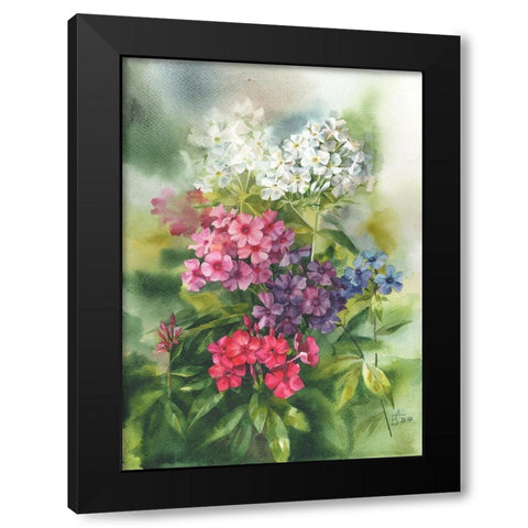Phlox in the Garden Black Modern Wood Framed Art Print with Double Matting by Besedina, Anastasiia