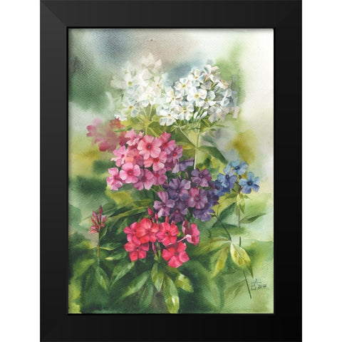 Phlox in the Garden Black Modern Wood Framed Art Print by Besedina, Anastasiia