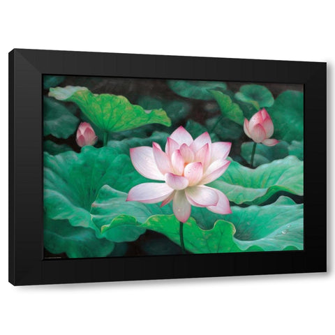 Water Lilly Black Modern Wood Framed Art Print by Chen Wu