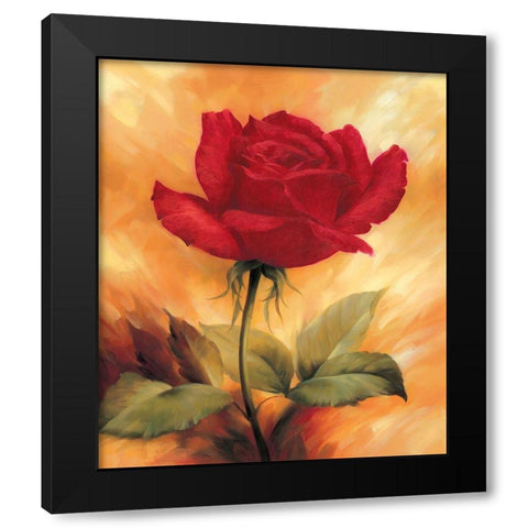 The Red Rose Black Modern Wood Framed Art Print with Double Matting by Skorupska, Patrycja