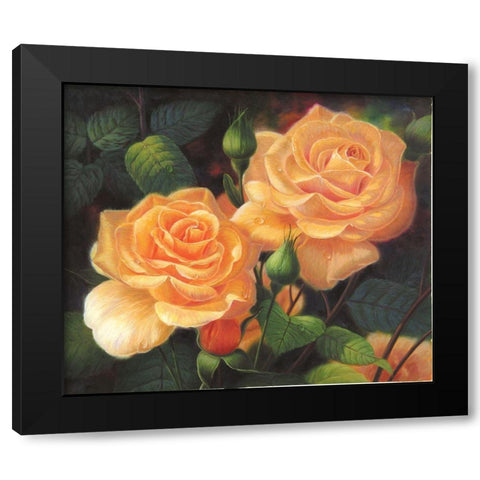 American Flowers VII Black Modern Wood Framed Art Print by Murphy, John