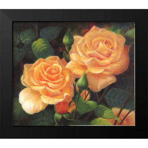 American Flowers VII Black Modern Wood Framed Art Print by Murphy, John