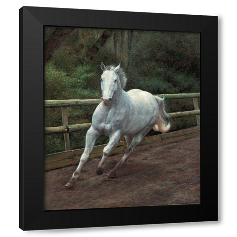 Running White Horse Black Modern Wood Framed Art Print with Double Matting by Petrikova, Eva