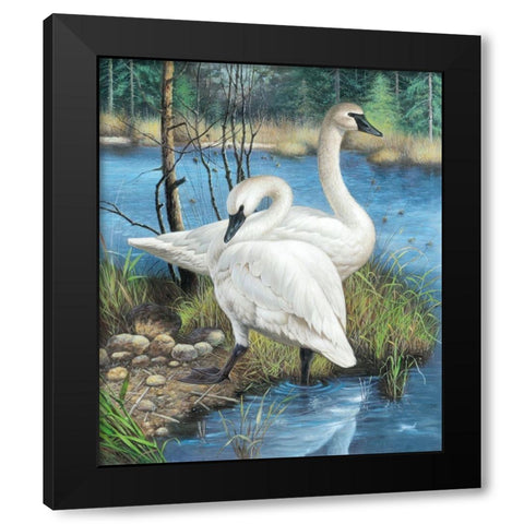 Two Swans Black Modern Wood Framed Art Print with Double Matting by Taranenko, Jana