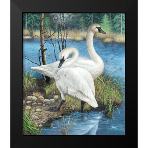Two Swans Black Modern Wood Framed Art Print by Taranenko, Jana