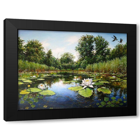 Watterlilly near Dnepropetrovsk Black Modern Wood Framed Art Print by Cernov, Ivan