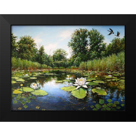 Watterlilly near Dnepropetrovsk Black Modern Wood Framed Art Print by Cernov, Ivan