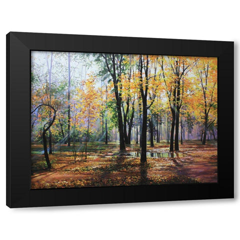 Park in Autumn Black Modern Wood Framed Art Print with Double Matting by Cernov, Ivan
