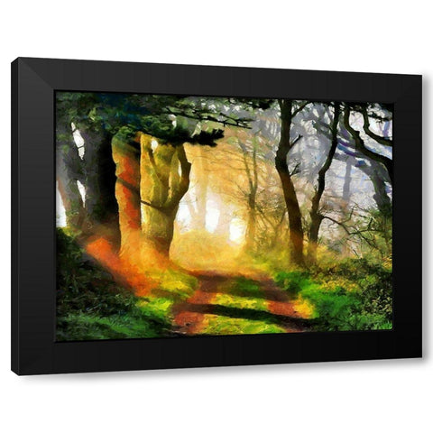 Sunshine between Trees Black Modern Wood Framed Art Print by Medeiros, Celito
