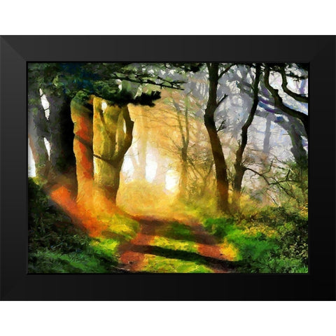 Sunshine between Trees Black Modern Wood Framed Art Print by Medeiros, Celito
