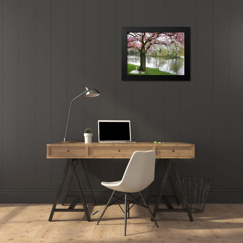Swans in Spring Black Modern Wood Framed Art Print by Medeiros, Celito