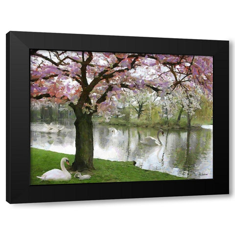 Swans in Spring Black Modern Wood Framed Art Print by Medeiros, Celito