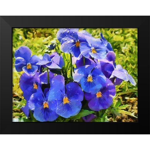 Pansies Black Modern Wood Framed Art Print by Medeiros, Celito