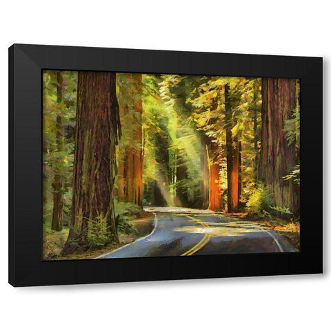 Street to The Sequoia NP Black Modern Wood Framed Art Print by Medeiros, Celito