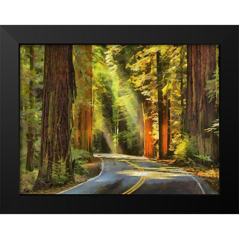 Street to The Sequoia NP Black Modern Wood Framed Art Print by Medeiros, Celito