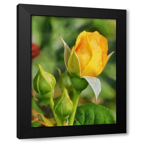 One Yellow Rose Black Modern Wood Framed Art Print with Double Matting by Medeiros, Celito
