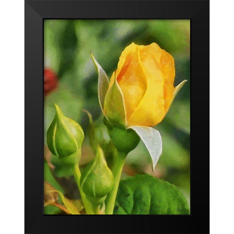 One Yellow Rose Black Modern Wood Framed Art Print by Medeiros, Celito