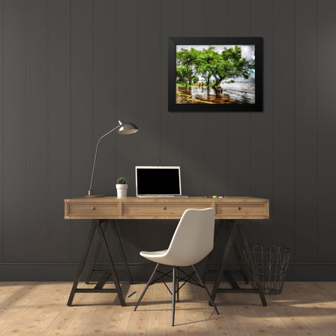 Bench under Green Tree Black Modern Wood Framed Art Print by Medeiros, Celito