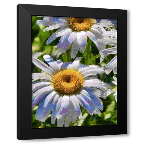 Blue Daisies Black Modern Wood Framed Art Print with Double Matting by Medeiros, Celito