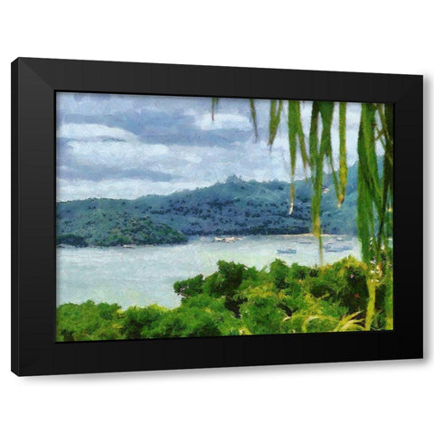 Impression Bay II Black Modern Wood Framed Art Print by Medeiros, Celito