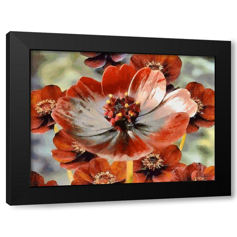 Red Poppies Black Modern Wood Framed Art Print with Double Matting by Medeiros, Celito