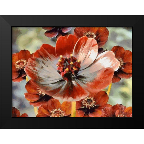 Red Poppies Black Modern Wood Framed Art Print by Medeiros, Celito