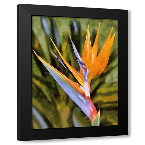 Beautiful Orchid I Black Modern Wood Framed Art Print by Medeiros, Celito