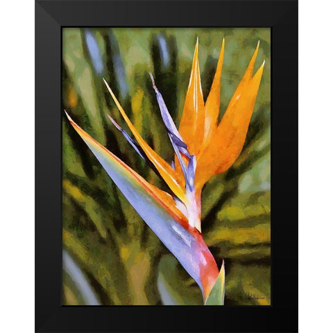 Beautiful Orchid I Black Modern Wood Framed Art Print by Medeiros, Celito