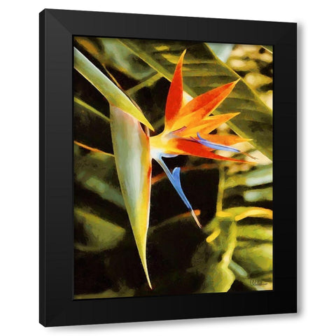 Beautiful Orchid II Black Modern Wood Framed Art Print with Double Matting by Medeiros, Celito
