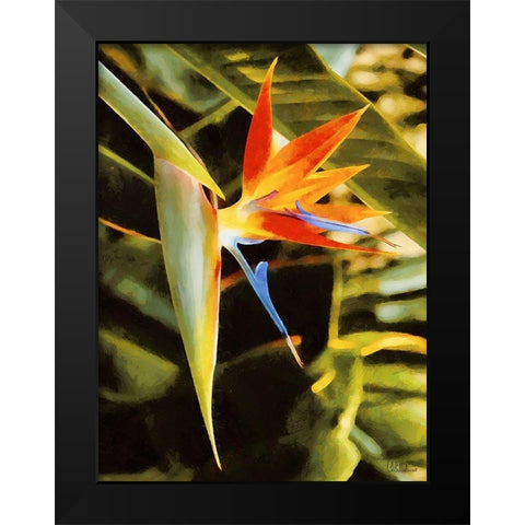 Beautiful Orchid II Black Modern Wood Framed Art Print by Medeiros, Celito